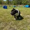 ronnielocklear6 - @ronnielocklear6 - TikTok