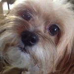 Ronnie Logan - @ronnie.logan.146 - Instagram
