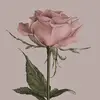 Ronnie Lott - @ronnielott1933 - TikTok