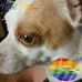Ron Lyle - Facebook