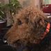 Ron Lyle - Facebook