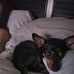 Ron Lyle - Facebook