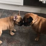 Mabel&Ronnie - @mabelandronnie - Instagram