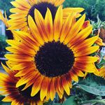ronnie mabry - @mabry_ronnie - Instagram
