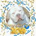 Ronnie Matney - Facebook