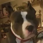 Ronnie Maxwell - @ronnie.maxwell.756 - Instagram
