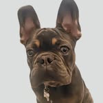 Ronnie McCarthy - @monsieur_ronnie - Instagram