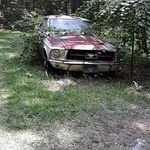 Ronnie McLeod - @ronnie.mcleod.16503 - Instagram