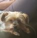Ron Mooney - Facebook