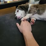 Ronnie Morse - @morseronnie - Instagram