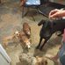 Ronnie Moser - Facebook