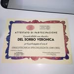 del Sorbo veronica - @ronnie_nail - Instagram