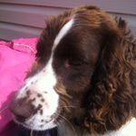 Ronnie_nolan - @ronnie_anmarie_nolan - Instagram