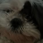 Ronnie Lee Padgett - @ronnieleepadgett - Instagram