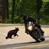 Ronnie Parsons - @ronnie.parsons - TikTok