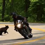 Ronnie Parsons - Facebook