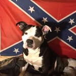 Ronnie Spence - @ronnie.spence.984 - Instagram