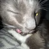 Ronny.Poon - @ronny.poon - TikTok