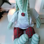 Ronnie Rabbit - @ronniethewrongwayroundrabbit - Instagram