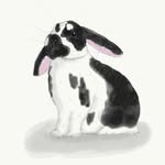 Ronnie 'The Rabbit' Jenns🐇 - @ronnietherabbitjenns - Instagram