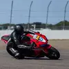 ronnierabbit26x - @ronnierabbit26x - TikTok