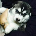 Ronnie - @ronnie_racerxx - Instagram