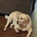 Ronnie Rotz - Facebook