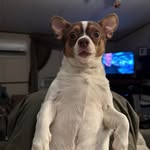Ronnie Roberson - @hammer0899 - Instagram