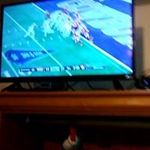 Ronnie Rodgers - @ronnie.rodgers.946 - Instagram