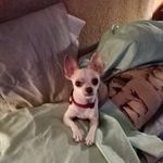 Ronnie Romans - @ronnieromans1 - Instagram