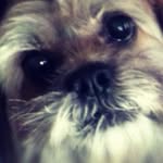 Ronnie Sanchez - @ronnie.sanchez.100 - Instagram