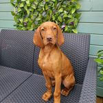 Ronald 'Ronnie' Saunders - @ronnie_saunders_theviz - Instagram