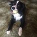 Ronnie Saunders - Facebook
