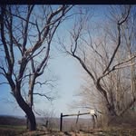 Ronnie Schultz - @ronnieschultz2910 - Instagram
