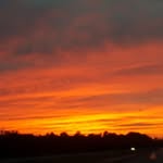 Ronnie Schultz - @ronnie.schultz.583 - Instagram
