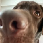 Ronnie Schultz - @ronnie_3520 - Instagram