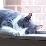 Ronnie K. Stephens - @ronnie.reads.books - Instagram