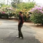 Ronnie Tang - @ronnietang9629 - Instagram