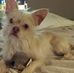 Ronnie S Towler - Facebook
