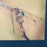 Ronnie Vann - @iwtfrn - Instagram