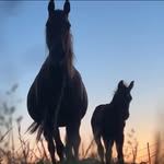 Rhonda Waters - @ronniewaters - Instagram