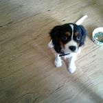 Ronnie Webber - @webberronnie - Instagram