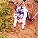 Ronnie Wells - Facebook