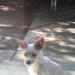 Ronnisha Jackson - Facebook