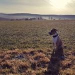 Ronny Arnold - @hottlbob_schwachkopf - Instagram