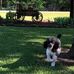 Ronny Arnold - Facebook