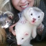 Yumi Ronny Bailey 💞 - @yumironnybailey.ferret - Instagram