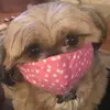 Ronny - @ronnybaker - TikTok