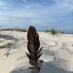 Ronny Buggel - @ronny_buggel78 - Instagram