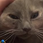 Ronnie Crawford - @ronnie.crawford.332345 - Instagram